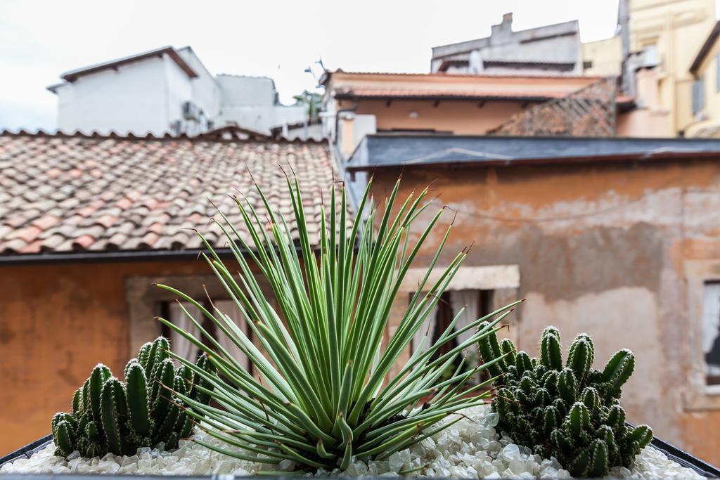 Casa Serena Рим Стая снимка